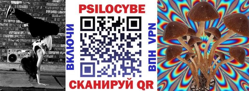 Галлюциногенные грибы Cubensis  Вичуга 