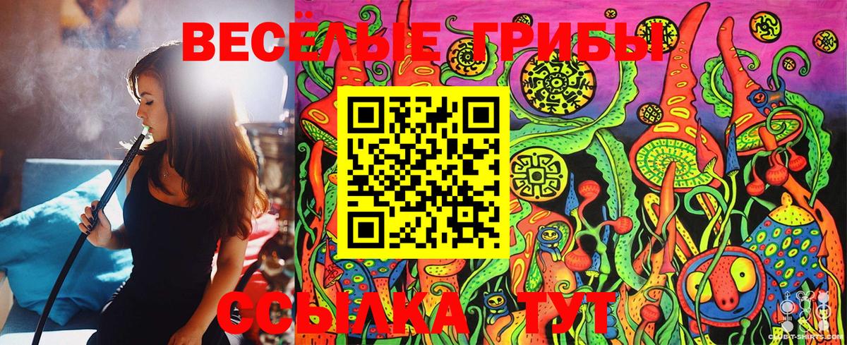 Псилоцибиновые грибы Cubensis  Вход с VPN  Псилоцибиновые грибы MAGIC MUSHROOMS  Вичуга 